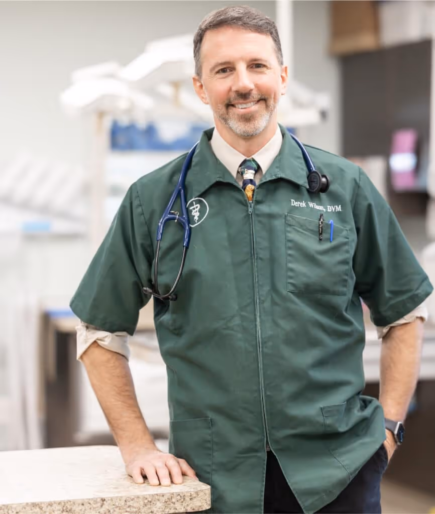 staff profile