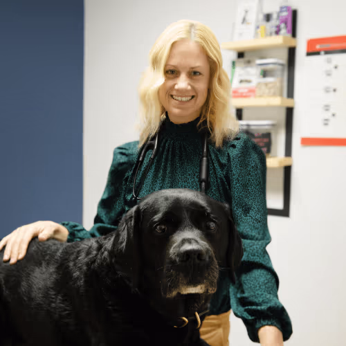 staff profile