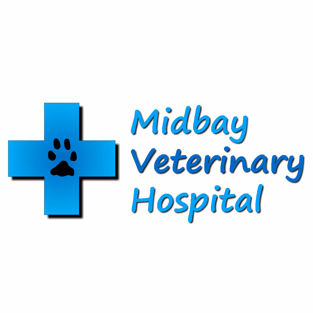 staff profile