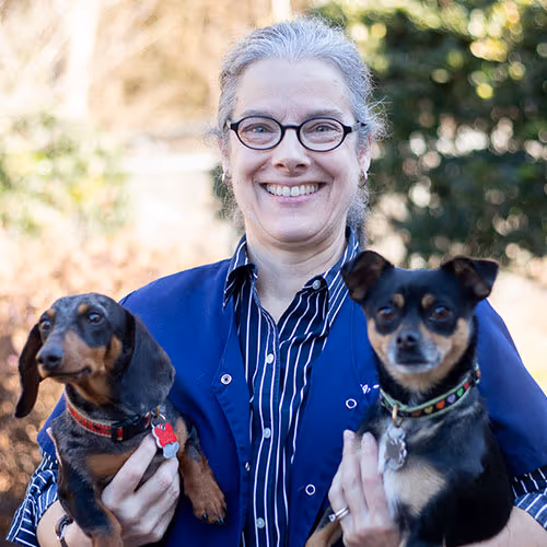 staff profile