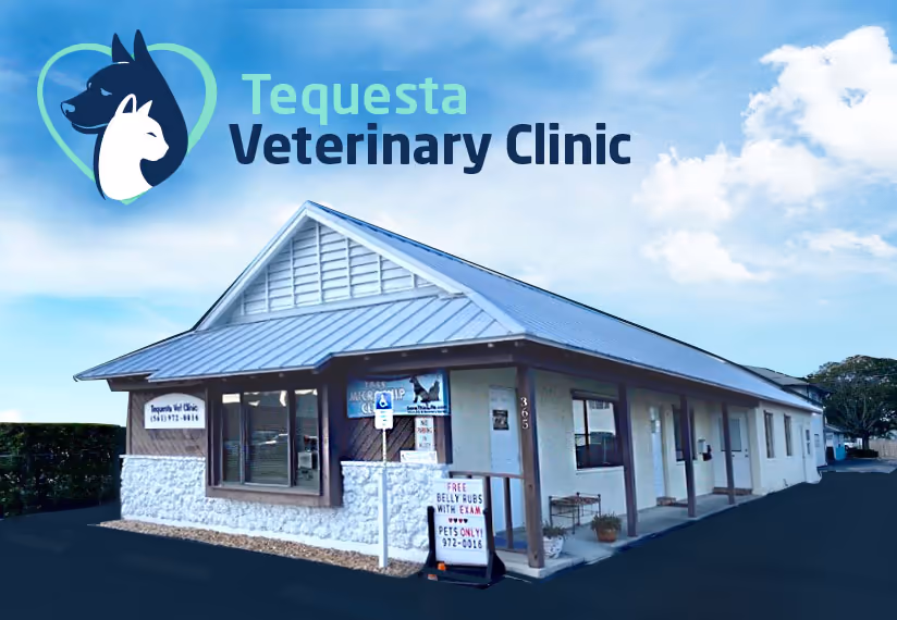 facility profile image