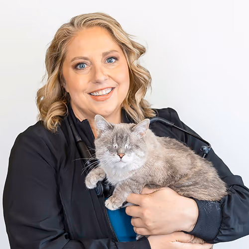 staff profile