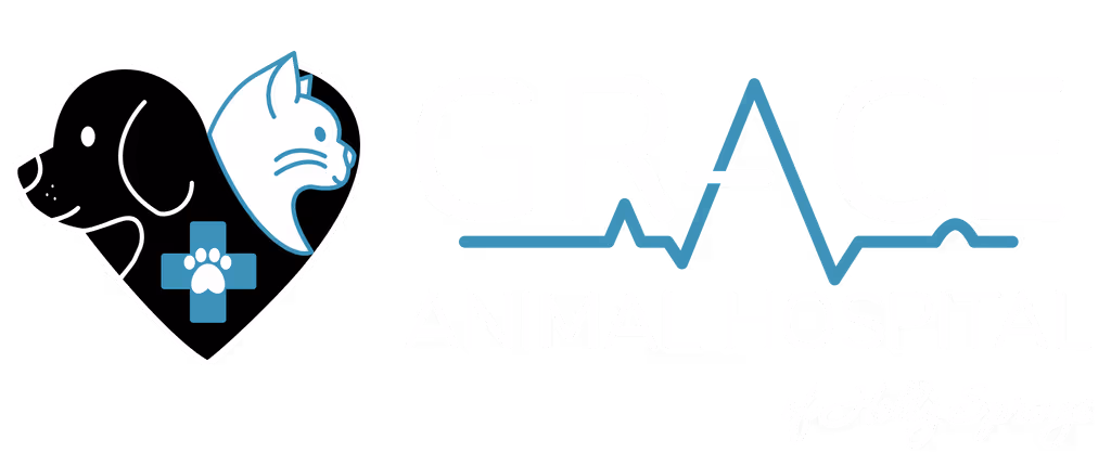 staff profile