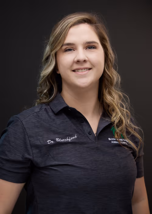 staff profile