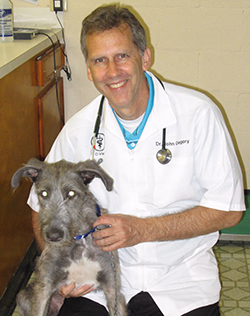 staff profile