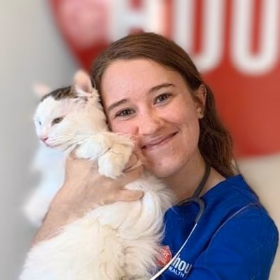 staff profile