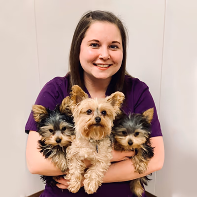 staff profile