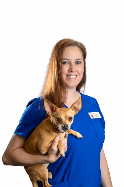 staff profile