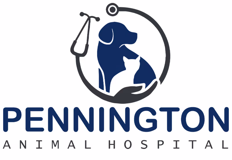 Pennington Animal Hospital - Pet services facility