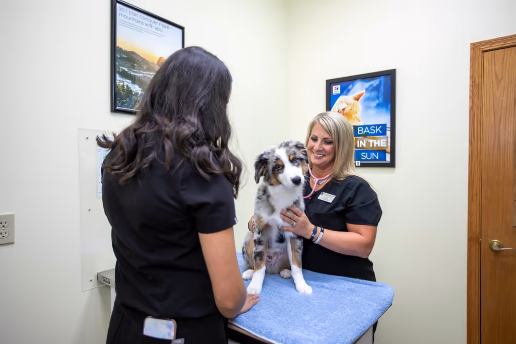 staff profile
