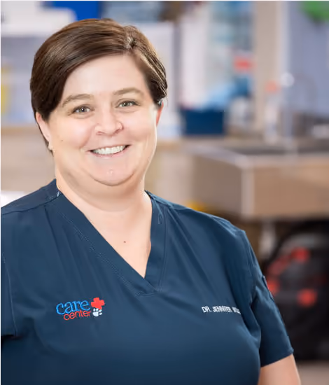 staff profile