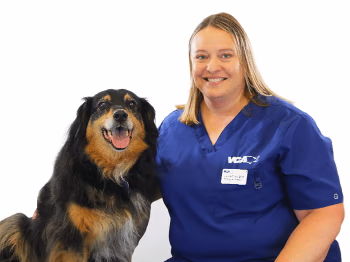 staff profile