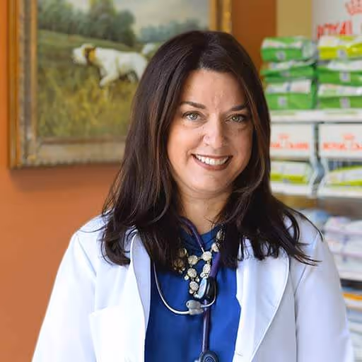 staff profile