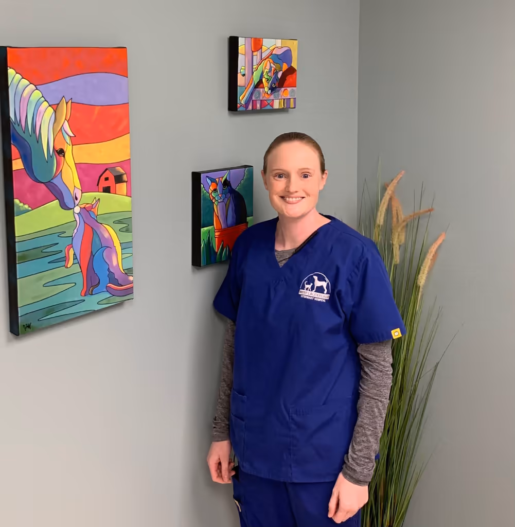 staff profile