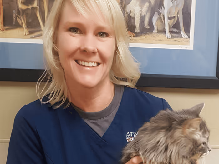 staff profile
