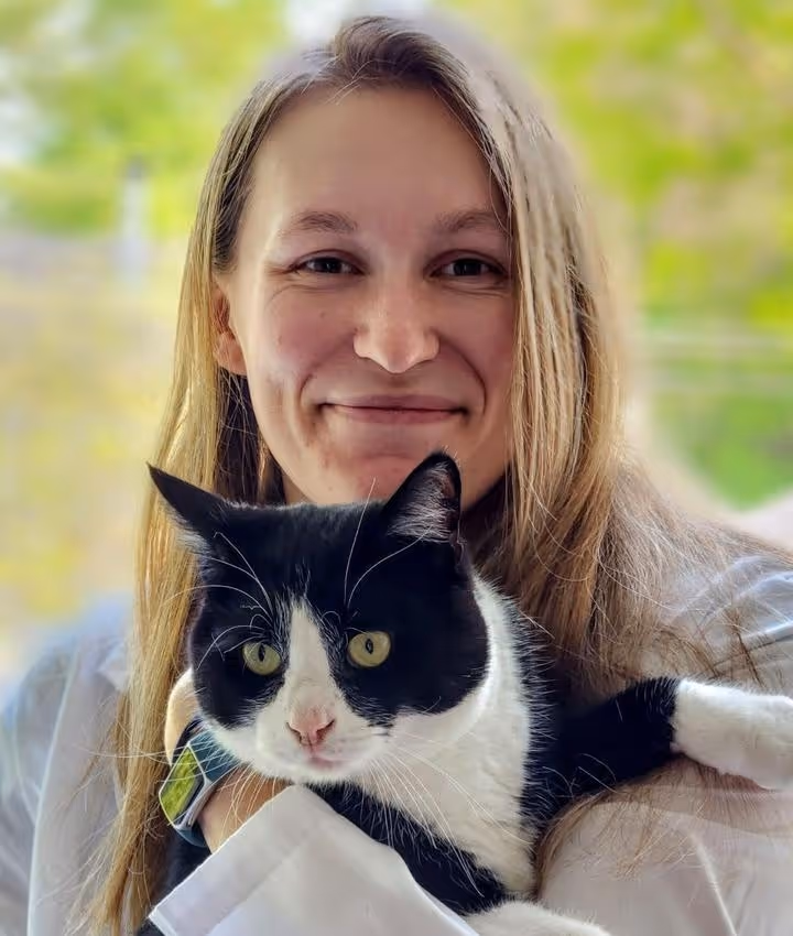 staff profile