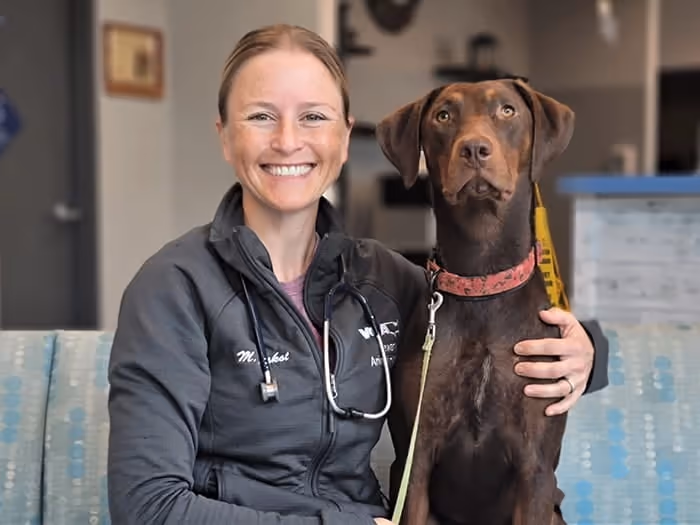 staff profile