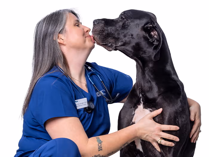 staff profile