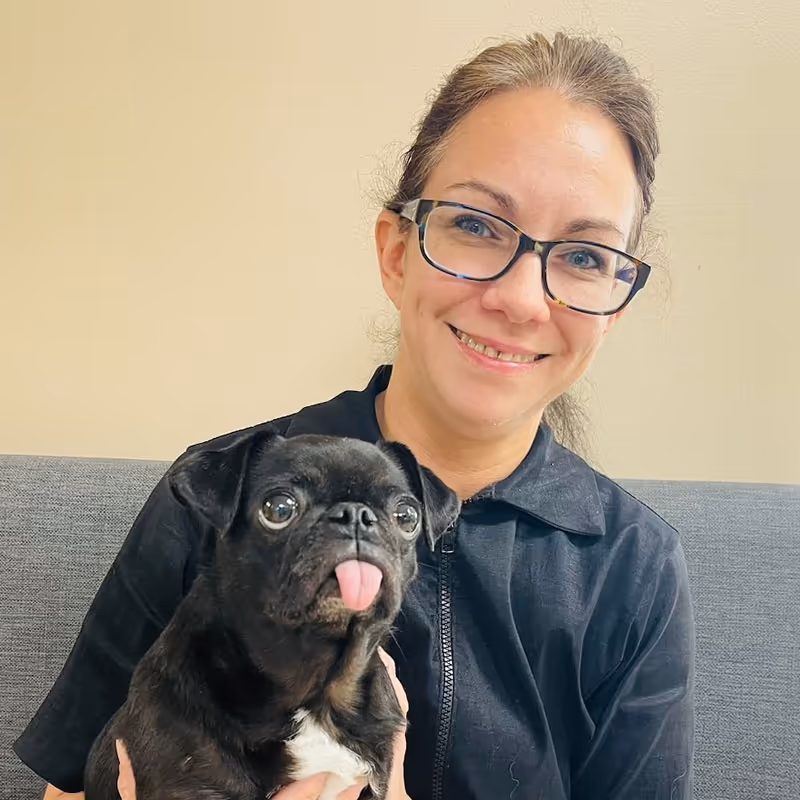 staff profile