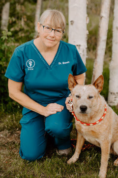 staff profile