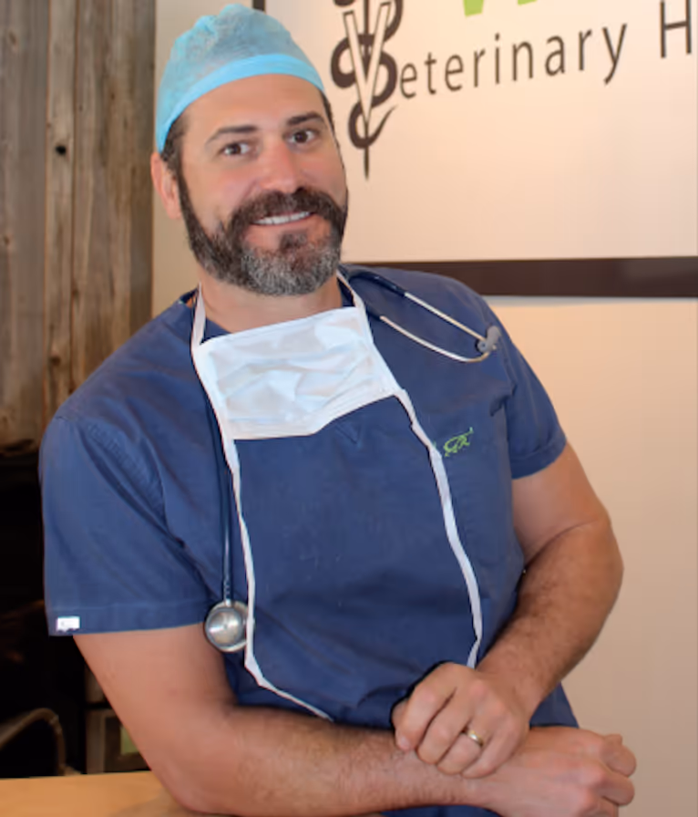 staff profile