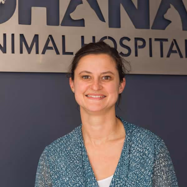 staff profile