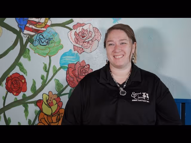 staff profile
