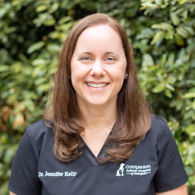staff profile