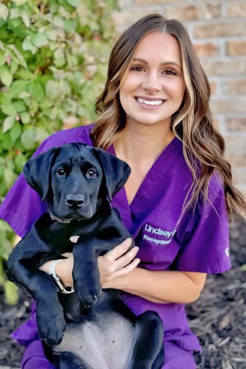 staff profile
