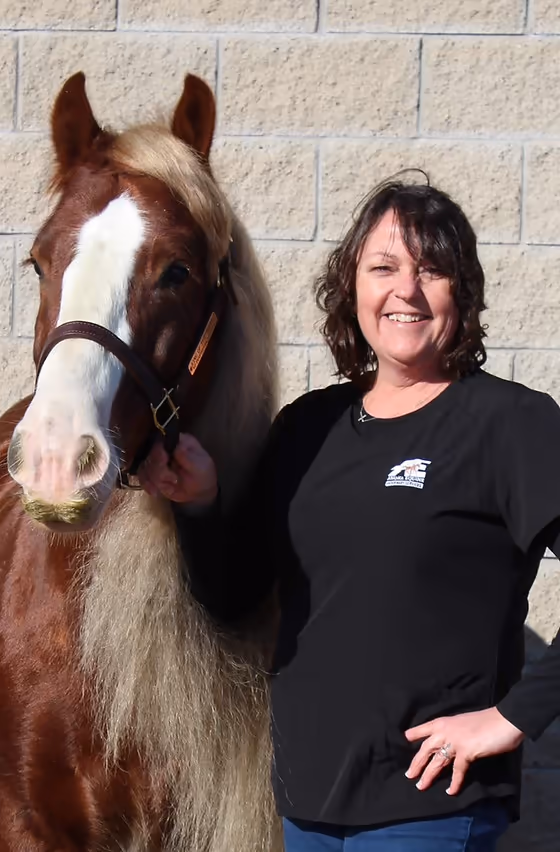 staff profile
