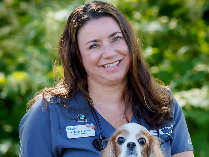 staff profile