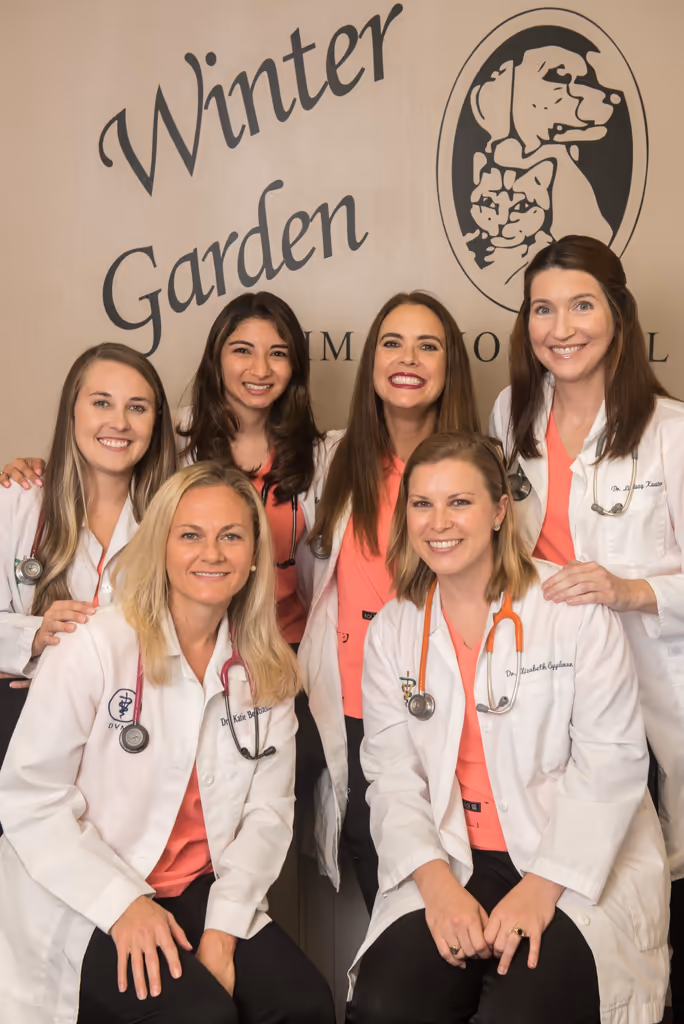 staff profile