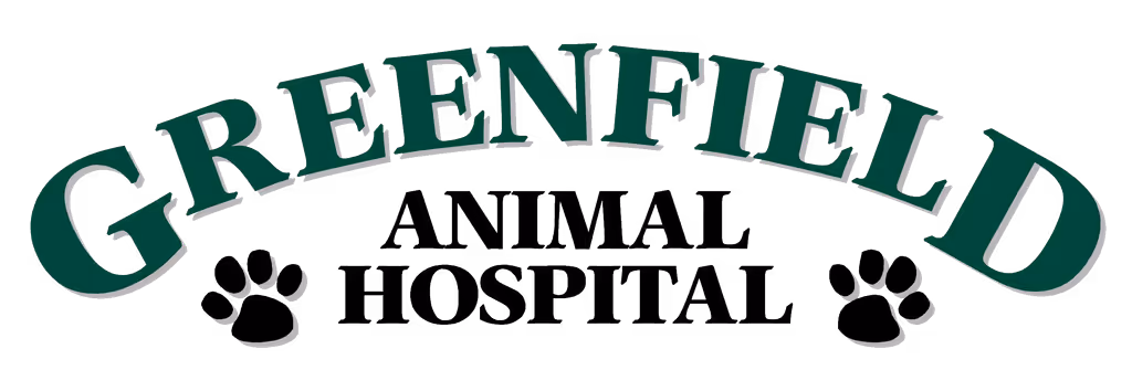 staff profile