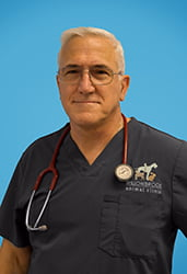 staff profile