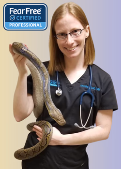 staff profile