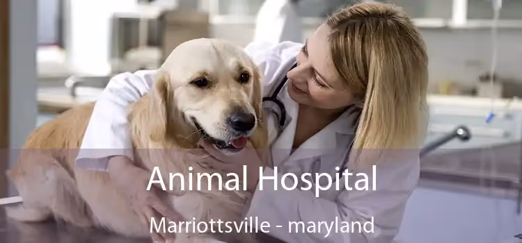 facility profile image