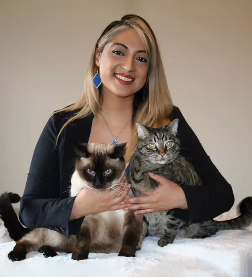 staff profile