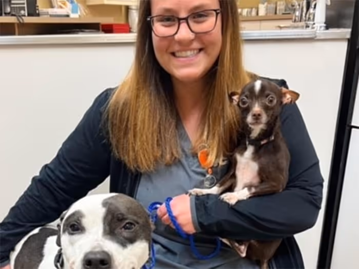 staff profile