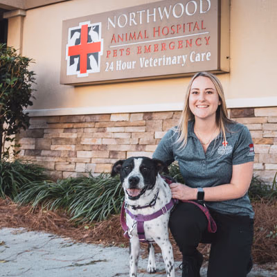 staff profile