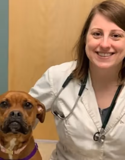 staff profile