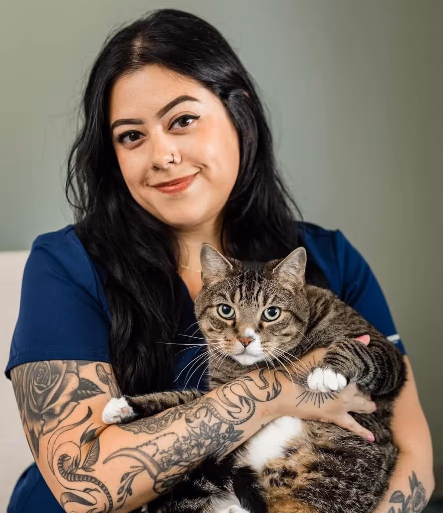 staff profile