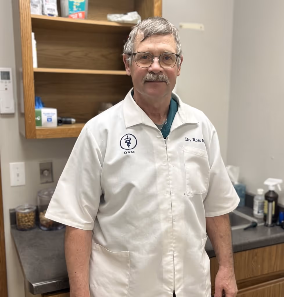 staff profile