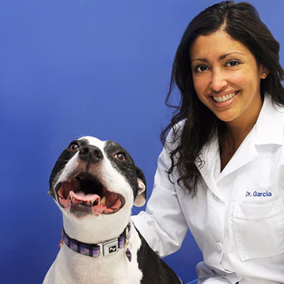 staff profile
