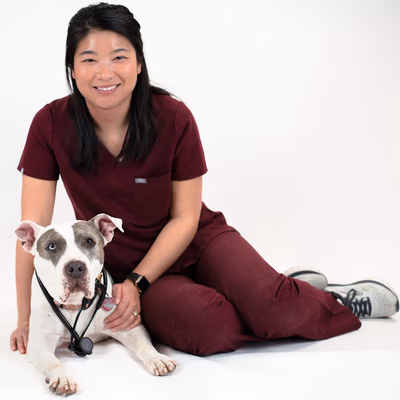 staff profile