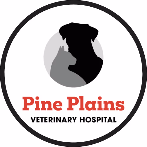 staff profile