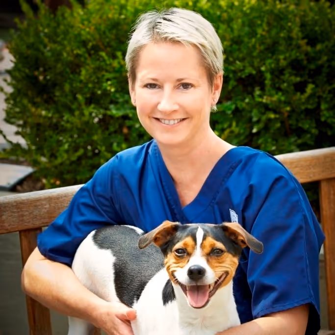staff profile