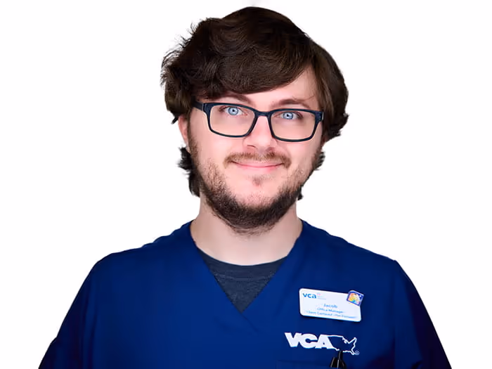 staff profile