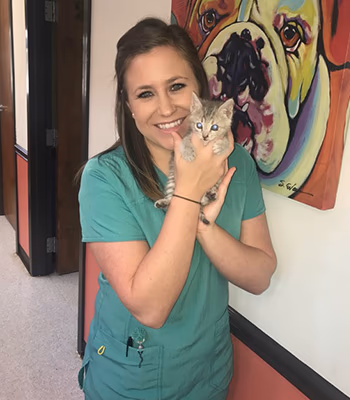 staff profile