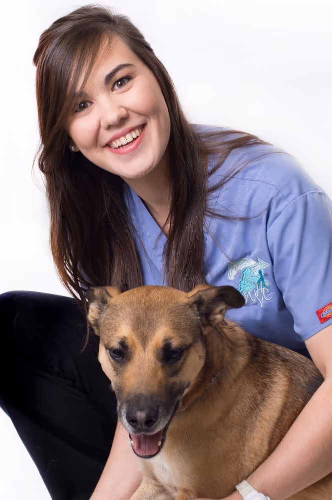 staff profile