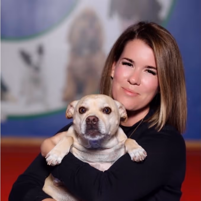 staff profile